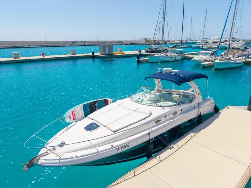 Captain Vasilis Boat Charters