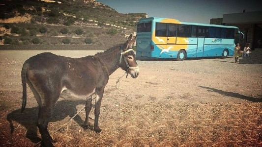 Eman Tours and Excursions all Cyprus