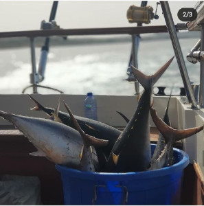 Fishing with Professionals