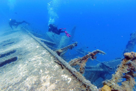 Great Turtle Diving Kapparis