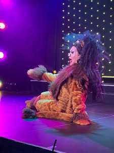 Book Stardust Variety Show Cyprus