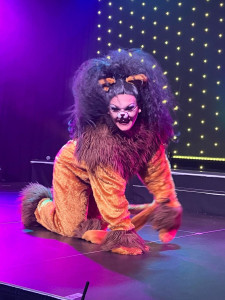 Book Stardust Variety Show Cyprus