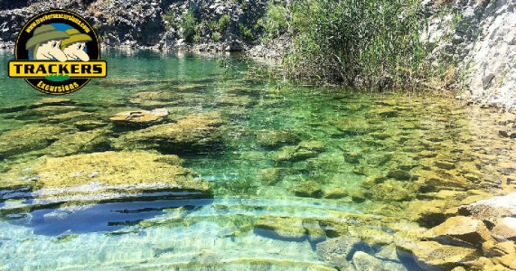 Book Now Trackers Excursions