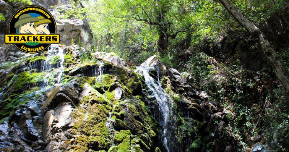 Book Now Trackers Excursions