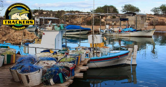 Book Now Trackers Excursions