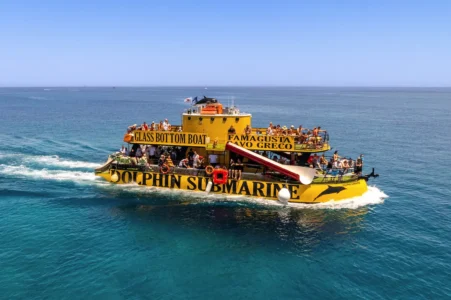 Dolphin submarine cruises protaras